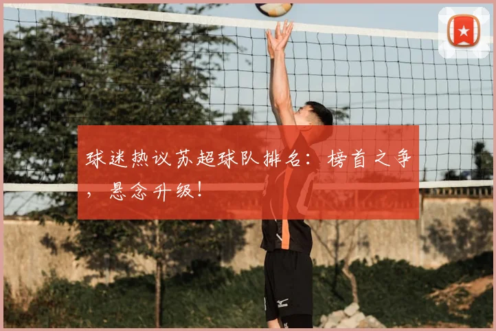 球迷热议苏超球队排名：榜首之争，悬念升级！