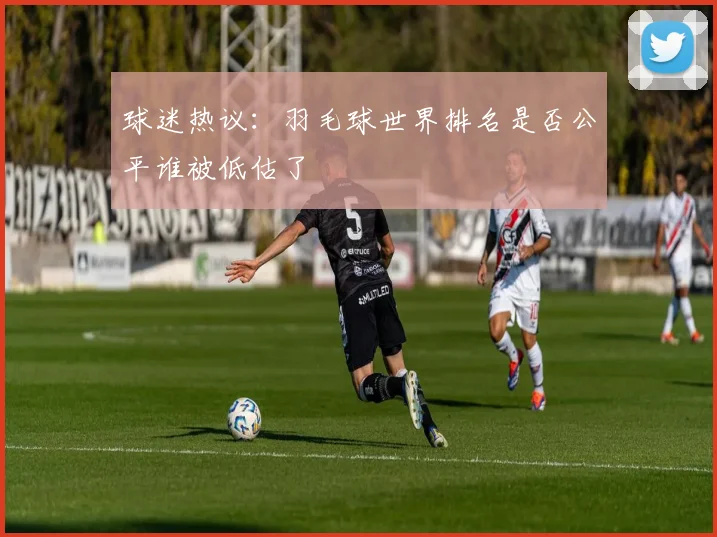 球迷热议：羽毛球世界排名是否公平谁被低估了