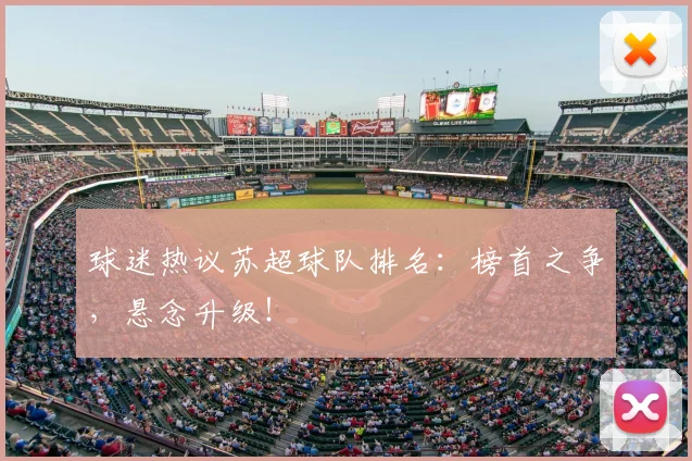 球迷热议苏超球队排名：榜首之争，悬念升级！