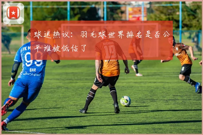 球迷热议：羽毛球世界排名是否公平谁被低估了